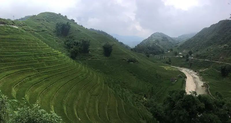 Curving green rice terraces on a hillside above the Mường Hoa river